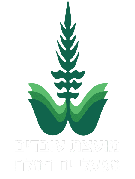 FRIENDS גיפט-קארד
