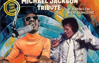 Stevie Wonder & Michael Jackson tribute