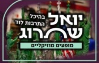 מסע הקסם השחור – הדיוות השחורות הגדולות – יואל שתרוג מופעים מוזיקליים סדרה 3